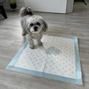 Dr. Bales Early Detection Health Monitoring Pee Pads for Dogs (22in x 22in)