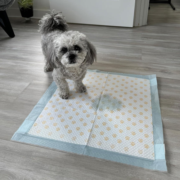 Dr. Bales Early Detection Health Monitoring Pee Pads for Dogs (22in x 22in)