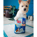 Four Paws Wee-Wee Odor Control Dog Training Pads with Febreze Freshness- 22x23"