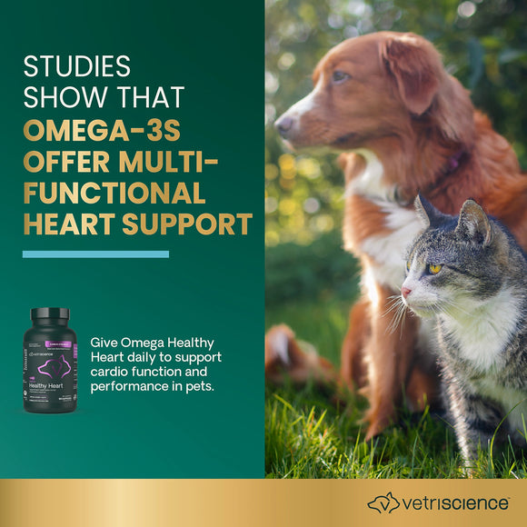 Omega Healthy Heart Capsules for Cats and Dogs