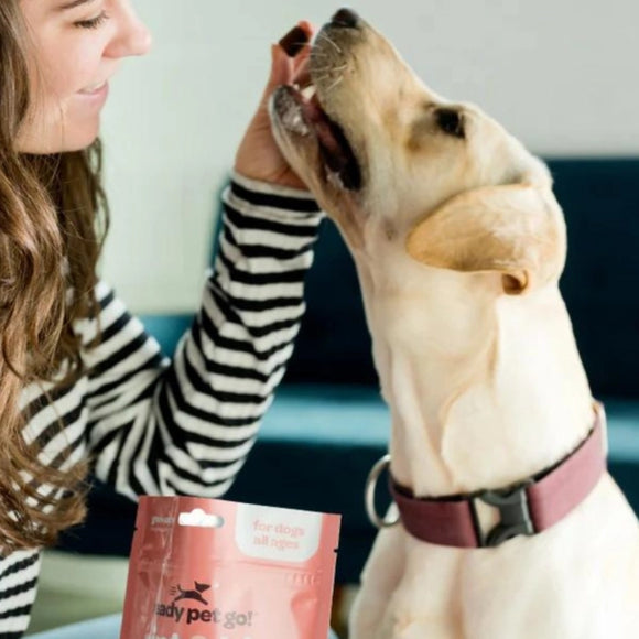 Ready Pet Go Hip & Joint Mobility Support for Dogs (90 soft chews)