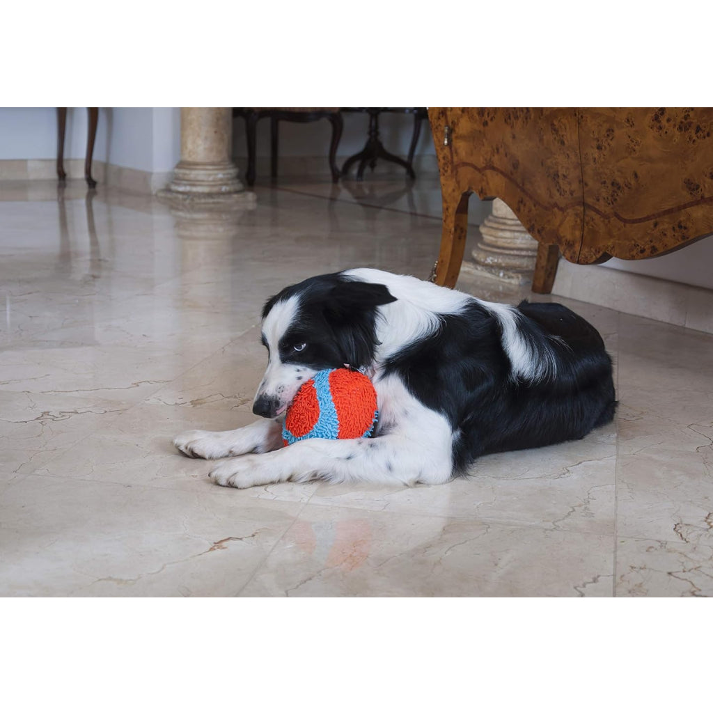 Chuckit! Indoor Fumbler Toy For Dogs