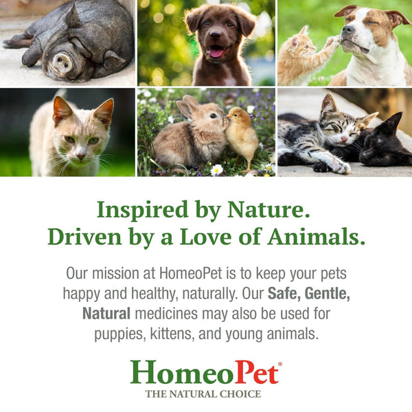 HomeoPet Travel Anxiety for Pets (15 ml)