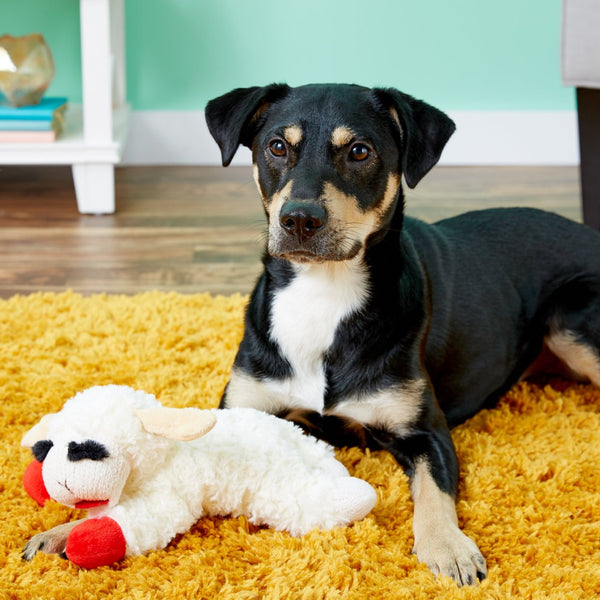 Multipet Lamb Chop Plush Squeaky Dog Toy