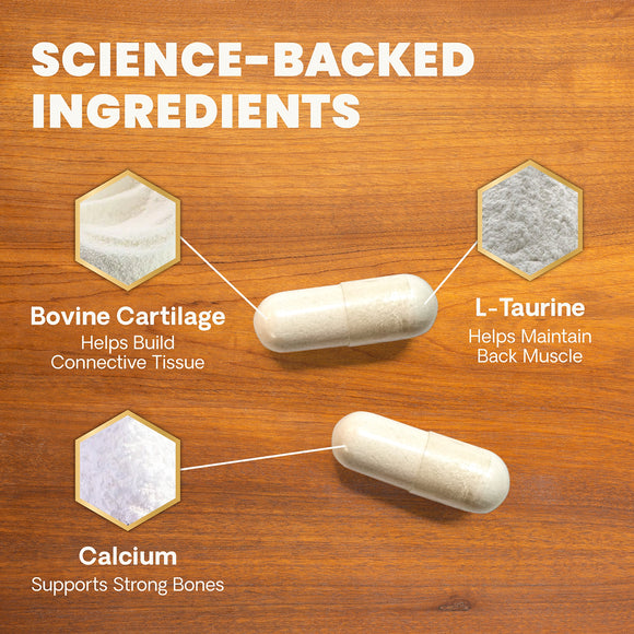 Healthy Spine & Disc Capsule for Dogs