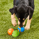 Chuckit! Fetch Medley Variety Triple Pack, Medium-6