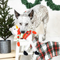 Petshop By Fringe Studio Too Cute To Chill Plush Toy For Dogs