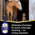 Absorbine Showsheen Miracle Groom Bathing Spray For Horses (32 oz)