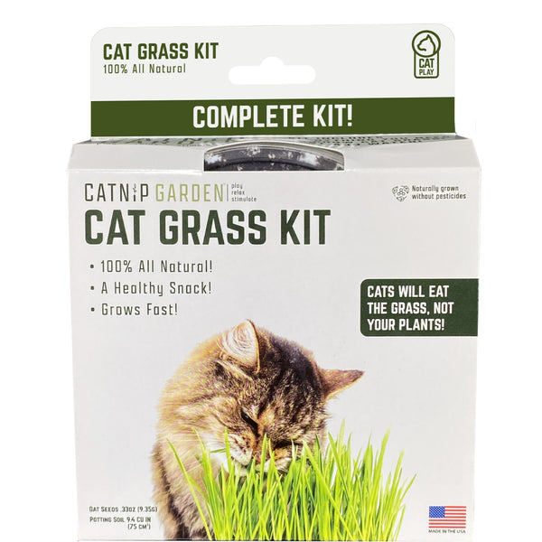 MultiPet Catnip Garden Cat Grass Kit