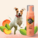 Pet Head Quick Fix Foam No-Rinse and Quick-Drying Shampoo for Dogs (6.7 oz)