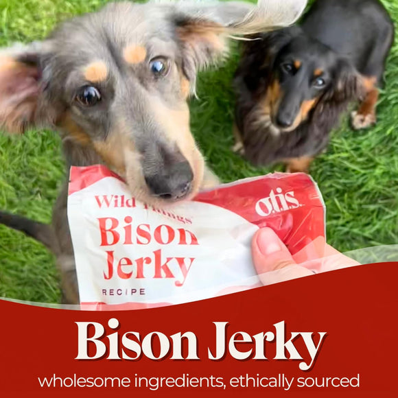 OTIS Wild Things Bison Jerky Treats for Dogs (4 oz)