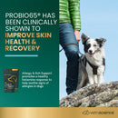 Allergy & Itch Support Chews for Dogs