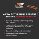 Super Snouts Urinary Berry Cranberry & Blueberry Bladder + U.T. Supplement for Dogs & Cats (2.6 oz)