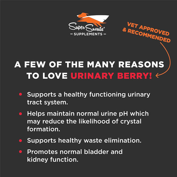 Super Snouts Urinary Berry Cranberry & Blueberry Bladder + U.T. Supplement for Dogs & Cats (2.6 oz)