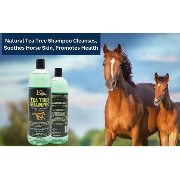 E3 Tea Tree Shampoo for Horses
