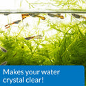 API Accu-Clear Quick Water Clarifier