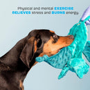 BARK Dingbert the Dragon Squeaky Plush Dog Toy