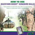 Backyard Boost Songbird Balls Enhanced Prebiotic Bird Treats (6 balls)