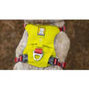 Ruffwear Hi & Light Dog Harness- Sage Green