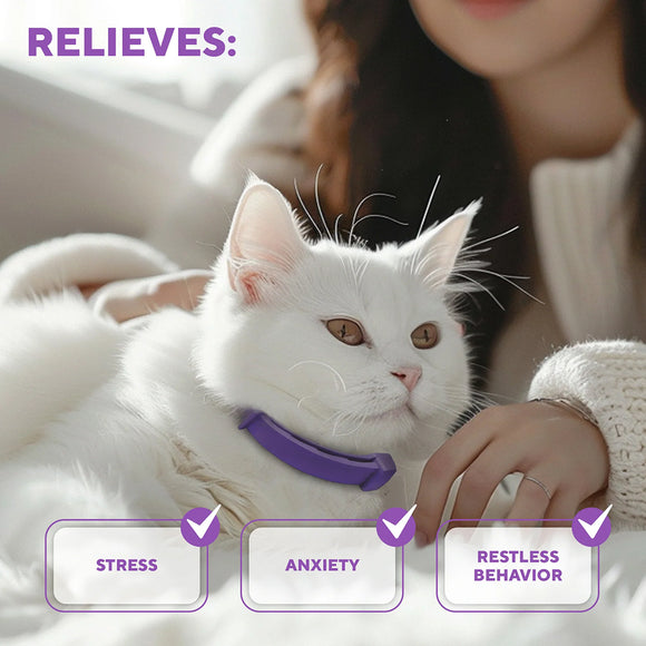 Beloved Pets Relaxiv Pheramone Improved DE-Stress Formula Calming Collar for Cats