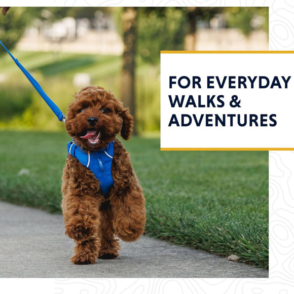 Ruffwear Front Range Dog Leash- Basalt Gray