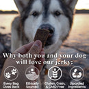 OTIS Wild Things Salmon Jerky Treats for Dogs (4 oz)