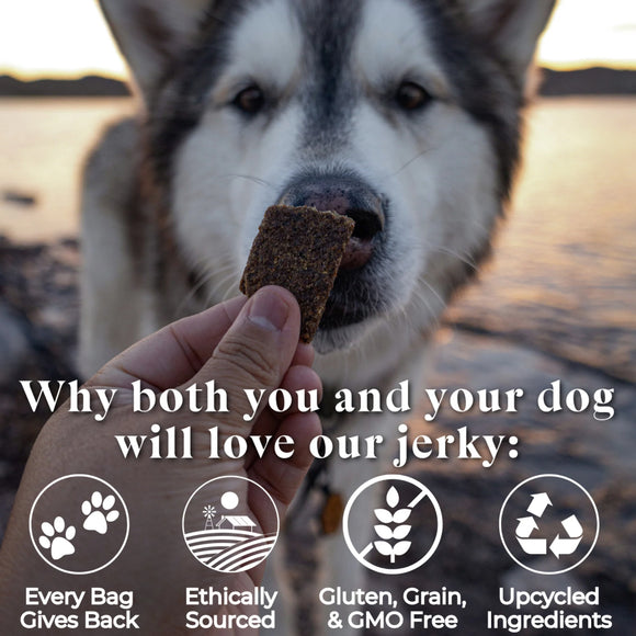 OTIS Wild Things Salmon Jerky Treats for Dogs (4 oz)