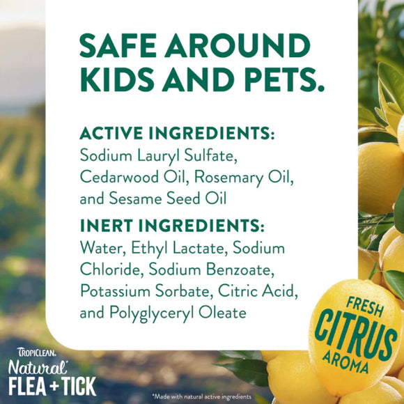 TropiClean Natural Flea & Tick No Rinse Shampoo for Cats (7.4 oz)