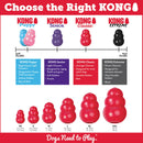 Kong Classic Toy For Dogs (Small Size)