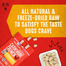 Stella & Chewy's Carnivore Crunch Cage-Free Chicken Recipe Freeze-Dried Raw Dog Treats (3.25 oz)