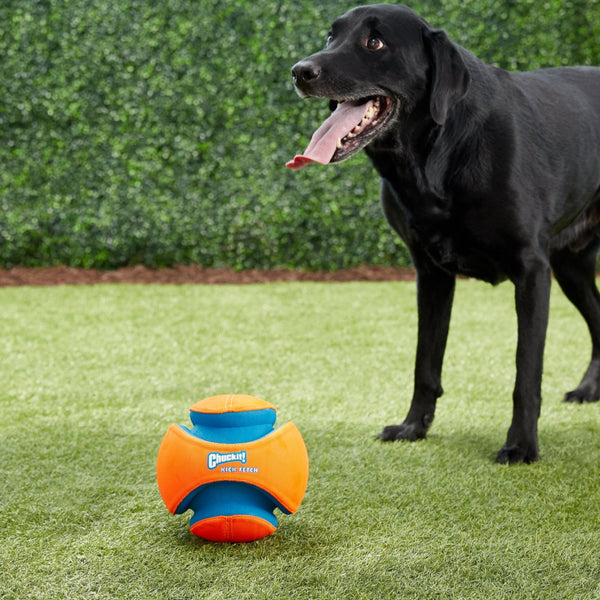 Chuckit! Kick Fetch Ball Toy For Dog- Large