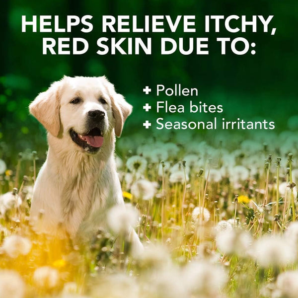 vet's best allergy itch relief dog shampoo