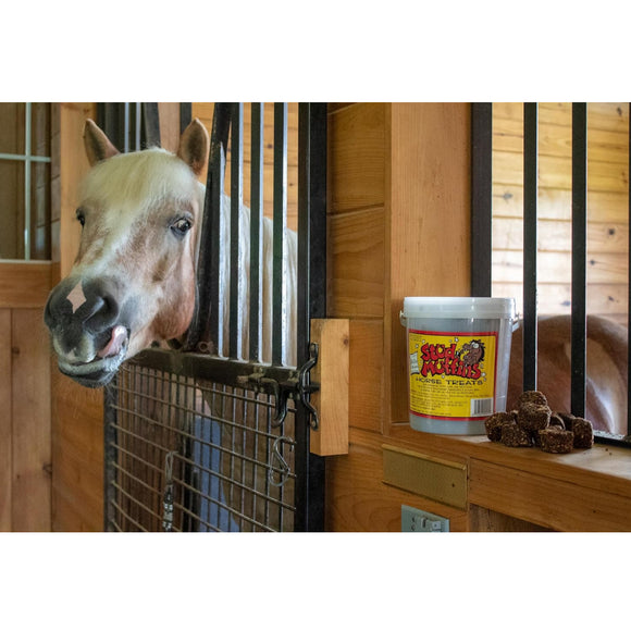 Stud Muffins Original Horse Treats