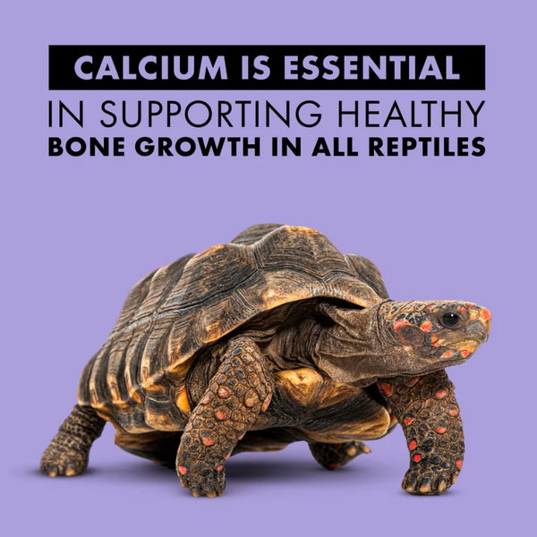 Zilla Food Calcium Supplement Spray For Reptile (8 oz)