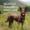 SENTRY Petrodex Toothpaste Dog Peanut Flavor (2.5oz)