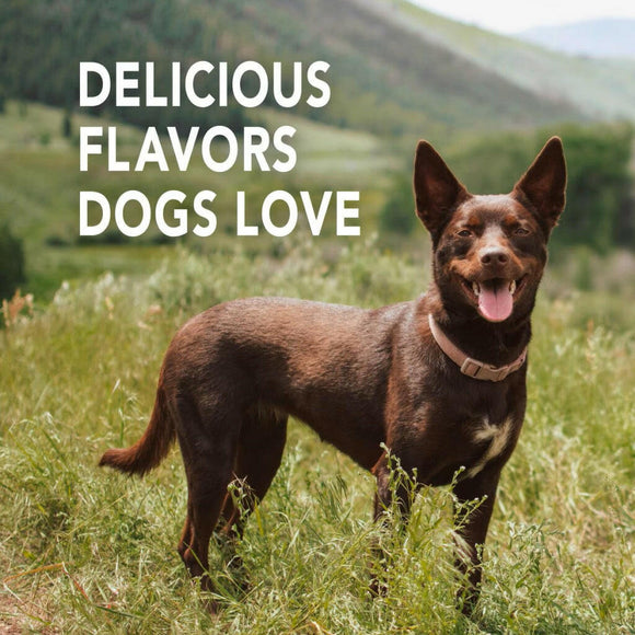 SENTRY Petrodex Toothpaste Dog Peanut Flavor (2.5oz)