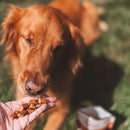 OTIS Wild Things Venison Trainers Bite-Sized Treats for Dogs (4 oz)