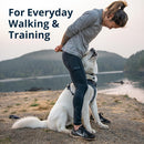 Ruffwear Front Range Dog Harness- Blue Pool