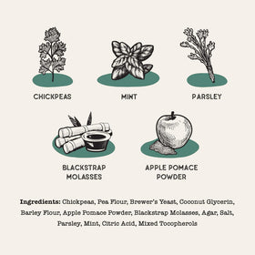 Dog Treat Naturals Dental Sticks Chickpea & Mint Dog Treats (20 count)