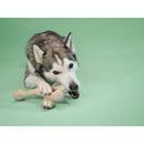 BetterBone Medium Density Beef Flavor Dog Chew Toy