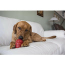 Kong Stuff'N Snacks Bacon & Cheese Flavor Crunchy Treats For Dogs -Small (7 oz)