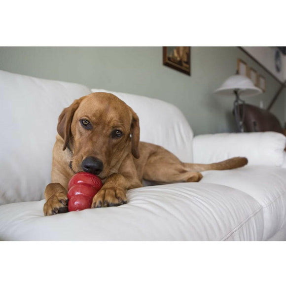 Kong Stuff'N Snacks Bacon & Cheese Flavor Crunchy Treats For Dogs -Small (7 oz)