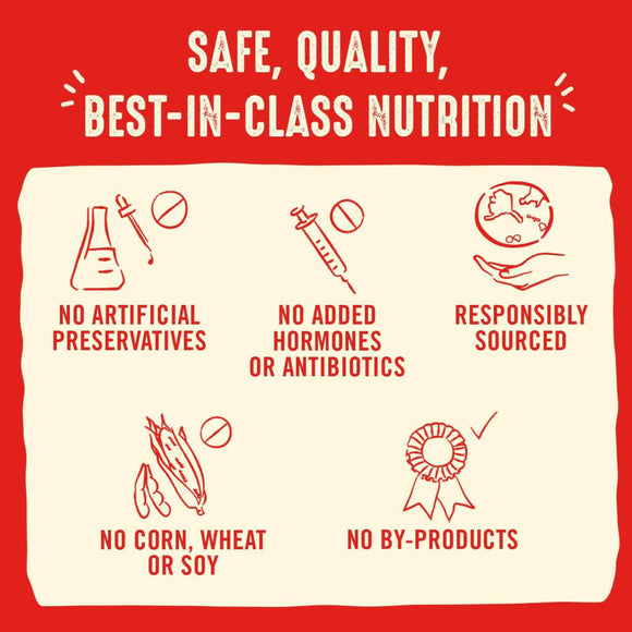 Stella & Chewy's Purely Pork Dinner Patties Freeze-Dried Raw Food for Dogs (14 oz)