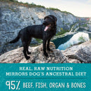 Stella & Chewy's Surf & Turf Meal Mixers Freeze-Dried Raw Topper for Dogs (3.5 oz)