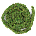 Galapagos MossVine for Hanging & Climbing (12 ft)