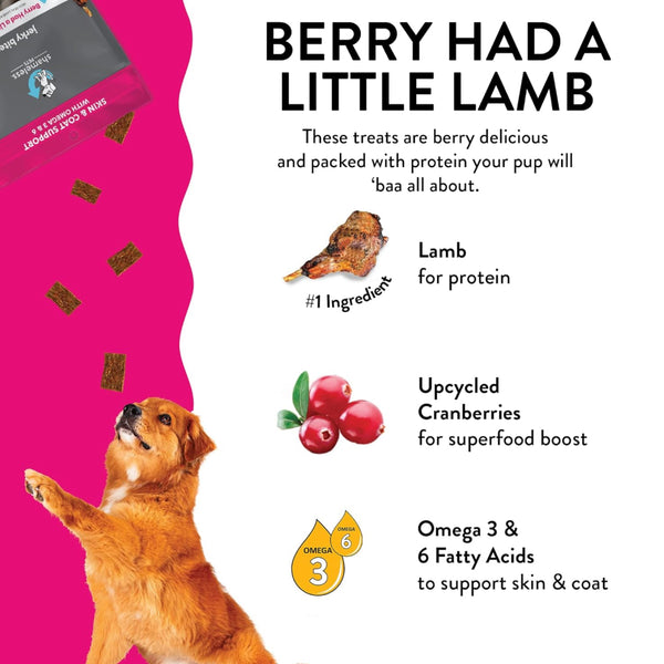 Shameless Pets Berry Had a Little Lamb Jerky Bites Treats For Dog (4.5 oz)