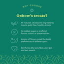 Oxbow Simple Rewards Freeze Dried Banana Small Animal Treats (1 oz)