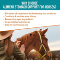  Vitalize Alimend Stomach Comfort Gastric Support for Horses