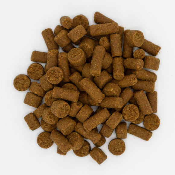 Oxbow Real Prey Turkey Ferrets Rewards Ferret Crunchy & Chewy Treats (3 oz)