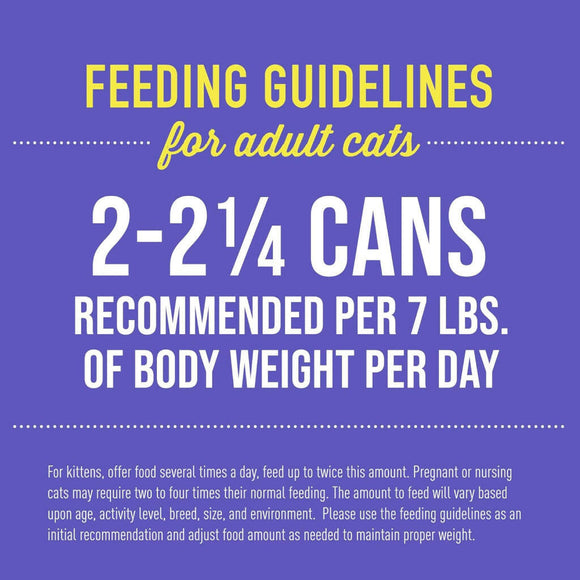 Tiki Cat Fish Favorites Pate Wet Food For Cats -Mega Pack (2.8 oz x 24 cans)